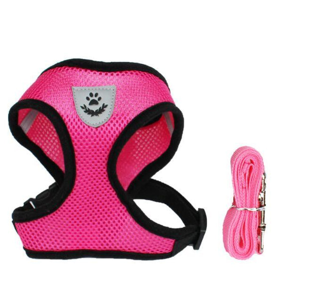 Car Seat Belt Pet Leash