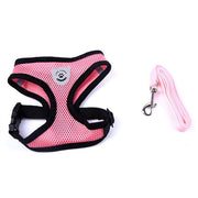 Car Seat Belt Pet Leash