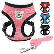 Car Seat Belt Pet Leash