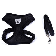 Car Seat Belt Pet Leash