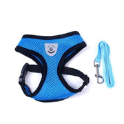 Car Seat Belt Pet Leash