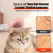 Spray Cat Brushes For Indoor Cats With Release Button Cat Brush For Shedding Massage Grooming Self Cleaning Slicker Brush For Dogs Cats Pet Brush Comb For Long Short Hair Cats Remove Loose Fur